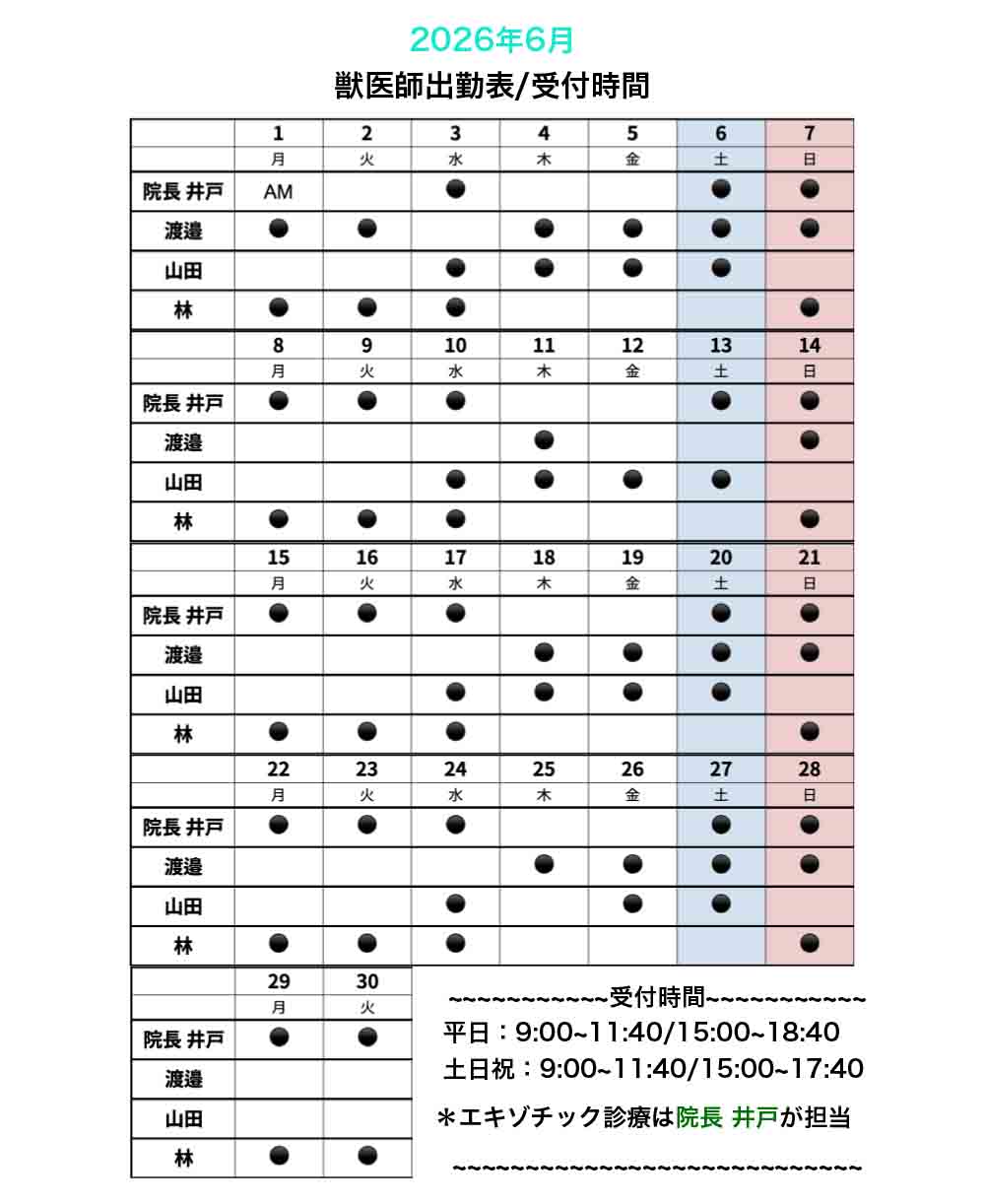 6月獣医師出勤表